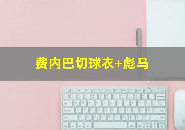 费内巴切球衣 彪马